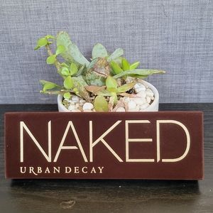 Urban Decay Naked palette